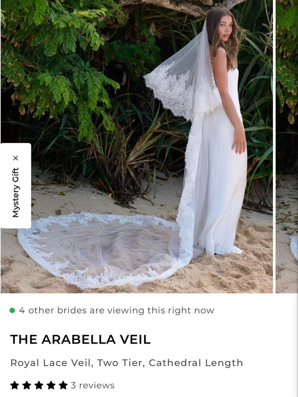 The Arabella Veil - White Lace Cathedral Veil